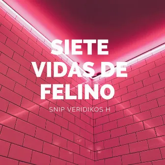 Siete Vidas De Felino by Snip Veridikos H