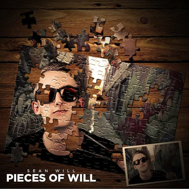 Pieces of Will