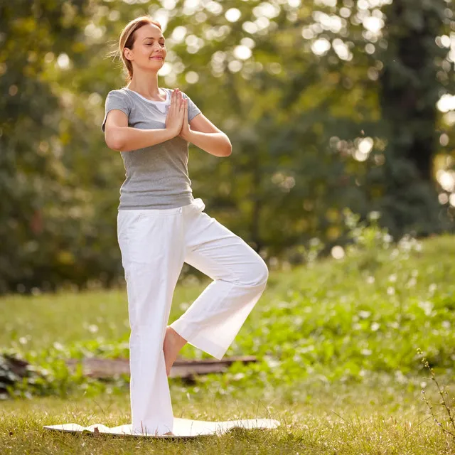 Feathered Yoga: Birds' Chirps for Peaceful Practice