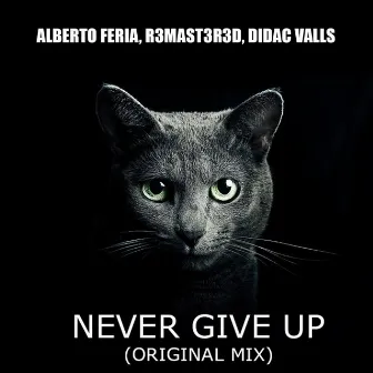 Never Give Up by R3MAST3R3D