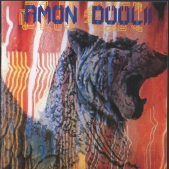 Wolf City by Amon Düül II