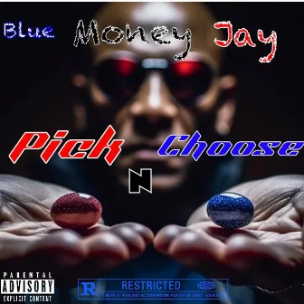 Pick N Choose by Blue Money Jay