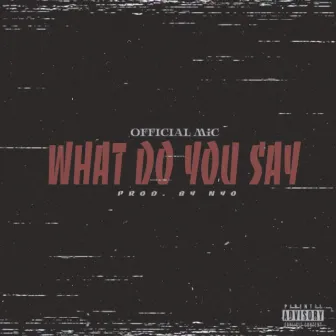 What do you say by Official MiC