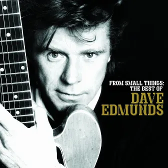 From Small Things: The Best Of Dave Edmunds by Dave Edmunds