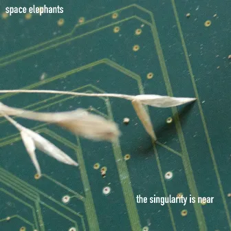 The Singularity Is Near by Space Elephants