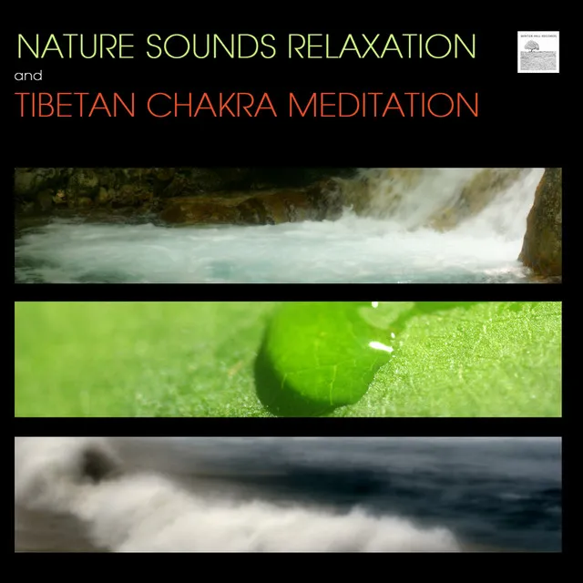 Sounds of Nature White Noise for Mindfulness Meditation and Relaxation