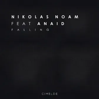 Falling by Nikolas Noam