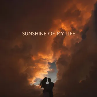 Sunshine On My Life by Unknown Artist