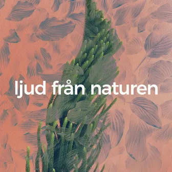 Ljud från naturen by Wonderful Escape