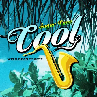 Cool by Sugar Cane