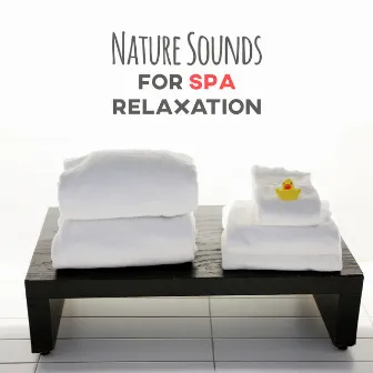 Nature Sounds for Spa Relaxation – Relaxing Music, Nature Music, Calming New Age, Soft Massage by Serenity Spa Music Zone