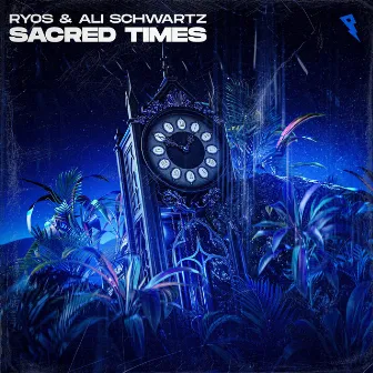 Sacred Times by Ali Schwartz