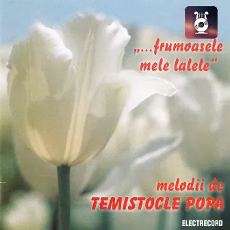 ....frumoasele mele lalele, Melodii de Temistocle Popa by Luigi Ionescu