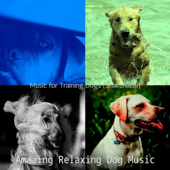 Music for Training Dogs (Shakuhachi) by 