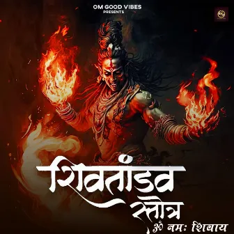 Shiv Tandav Stotram (Om Namah Shivaya) by Priya