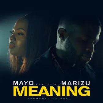 Meaning by Mayo