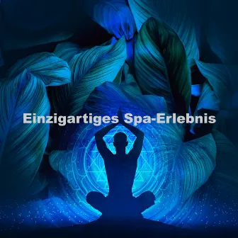 Einzigartiges Spa-Erlebnis by Unknown Artist