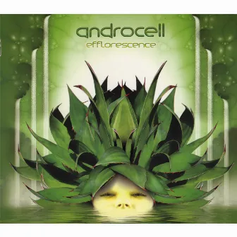 Efflorescence [CD Rec 003](Chill-out / Psy-dub / Downtempo) by Androcell