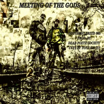 Meeting of the Gods by Different Breed 860