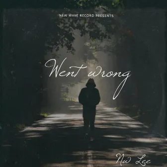 Went Wrong by Nw Lee