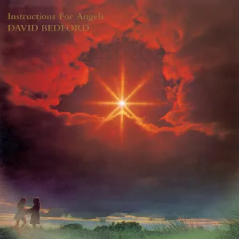 Instructions For Angels by David Bedford