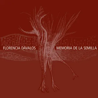 Memoria de la Semilla by Florencia Dávalos