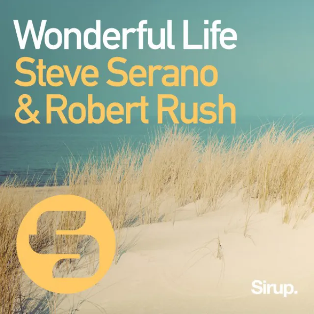 Wonderful Life - Original Club Mix