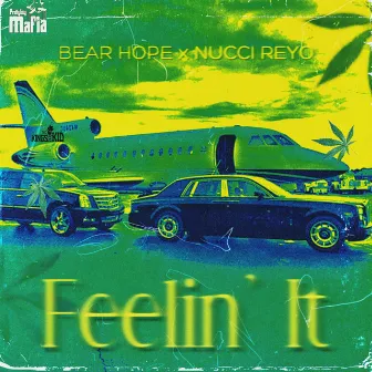 Feelin' It by Bear Hope