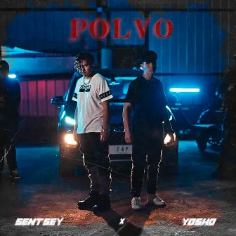 Polvo by Sentsey