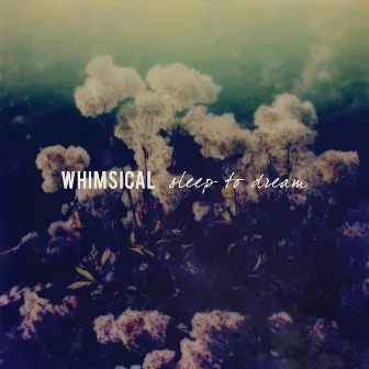 Sleep to Dream by Whimsical