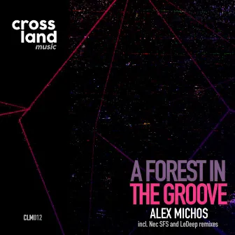 A Forest in the Groove by Alex Michos