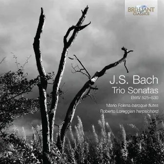 J.S. Bach: Trio Sonatas, BWV 525-530 by Mario Folena