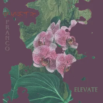 Elevate by FRANCO