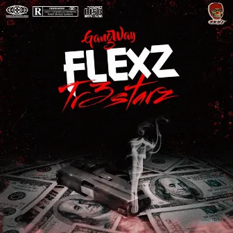 Flexz by Tr3starz