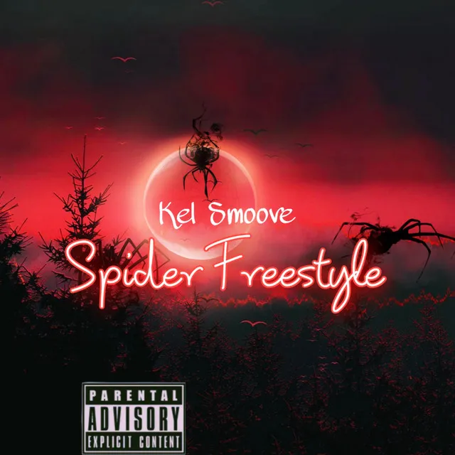 Spider Freestyle