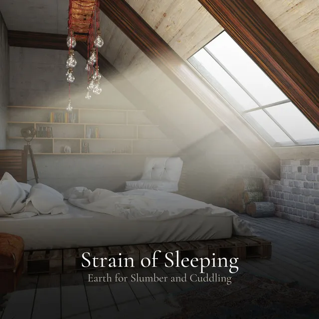 Strain of Sleeping Earth for Slumber and Cuddling