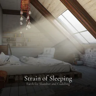 Strain of Sleeping Earth for Slumber and Cuddling by Sleep Better