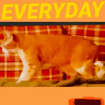 Everyday by Scott McMicken and THE EVER-EXPANDING