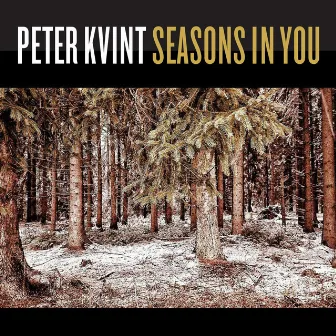 Seasons In You (Radio Edit) by Peter Kvint