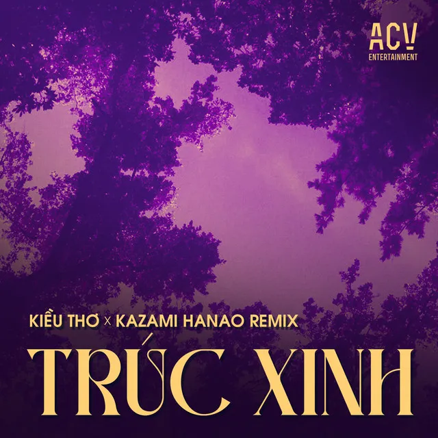 Trúc Xinh (Kazami Hanao Remix)