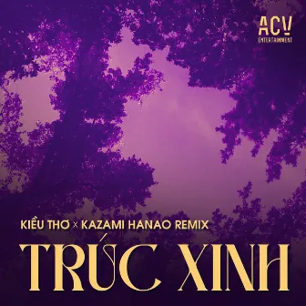 Trúc Xinh (Kazami Hanao Remix) by Unknown Artist