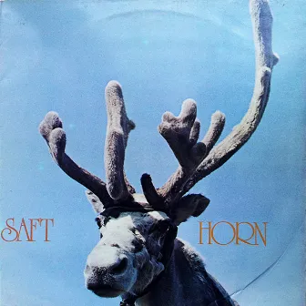 Horn by Saft