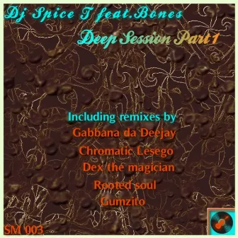 Deep Session by DJ Spice T