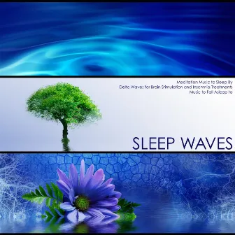 Sleep Waves - Meditation Music to Sleep By, Delta Waves for Brain Stimulation and Insomnia Treatments, Music to Fall Asleep to by Sleep Doctor