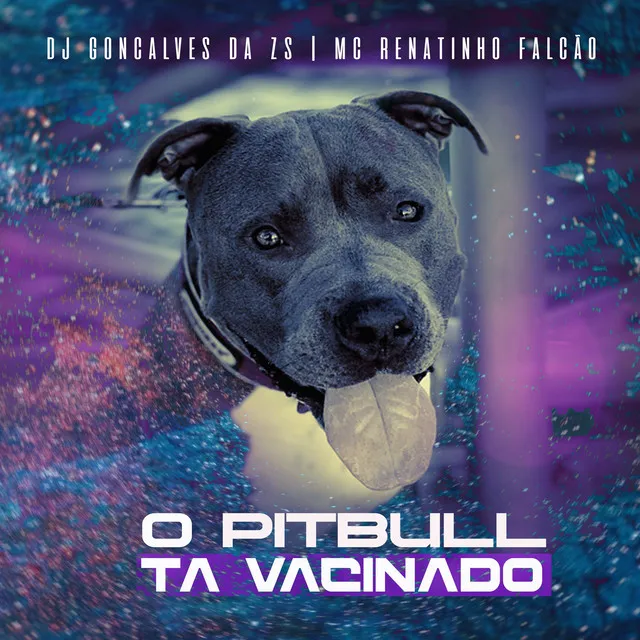 O Pit Bull Ta Vacinado