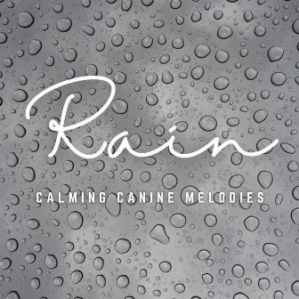 Paws in Rain Serenity: Calming Canine Melodies by The Dog Relaxer