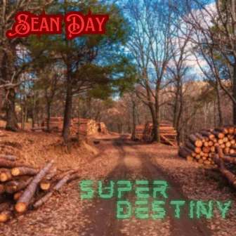 Super Destiny by Sean Day