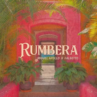 Rumbera by Super Solo