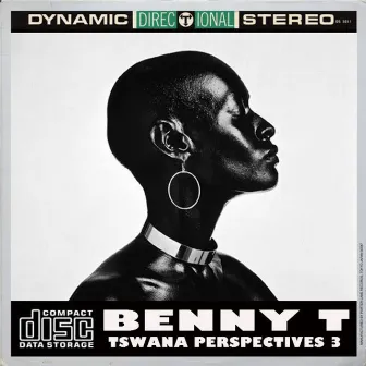 Tswana Perspectives 3 by Benny T