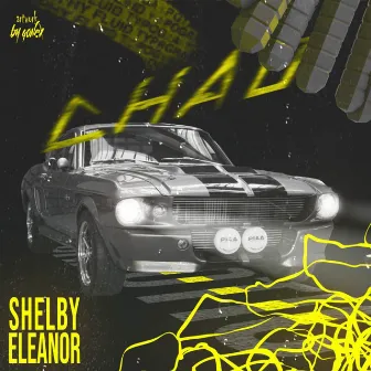 shelby eleanor by Chaotic